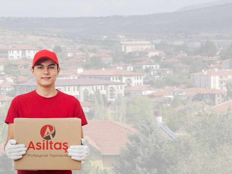 Asiltaş Nakliyat